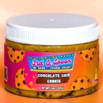 Chocolate Chip Cookie Dough - Large (14oz)